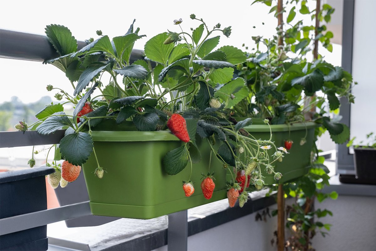 Embracing Sustainability: Our Journey with GRS Certification