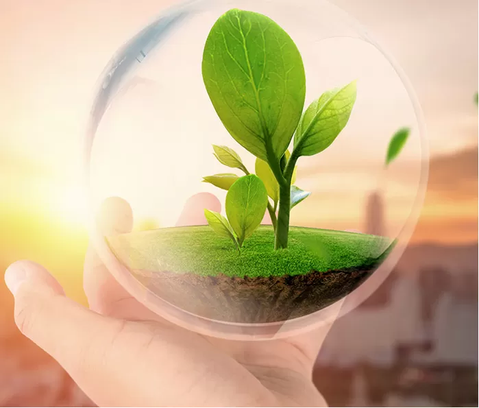 MCDM AFFECTION MCDM AFFECTION