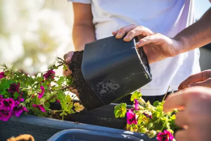 Plastic garden and planting packaging