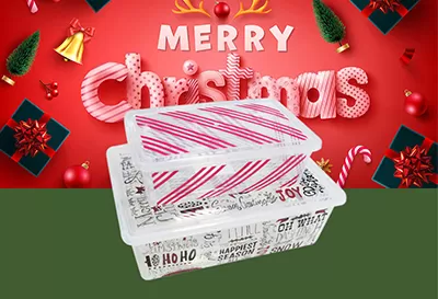 Get Ready for Christmas with our Home Plastic Storage Boxes!