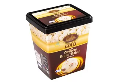 Trying To Pick Between Stainless Steel And Plastic Ice Cream Containers?